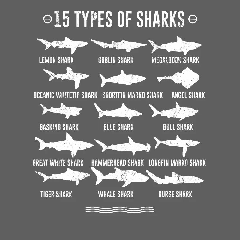 Requins - 15 types de requins