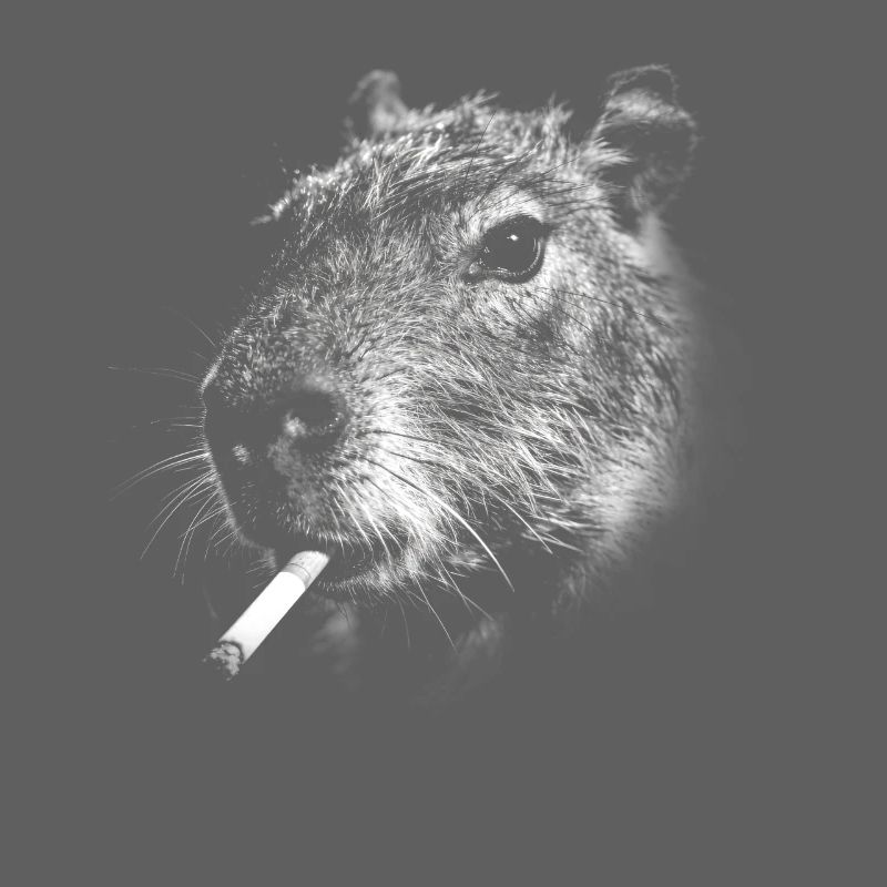 Rauchen, Zigarette, Capybara raucht eine Zigarette