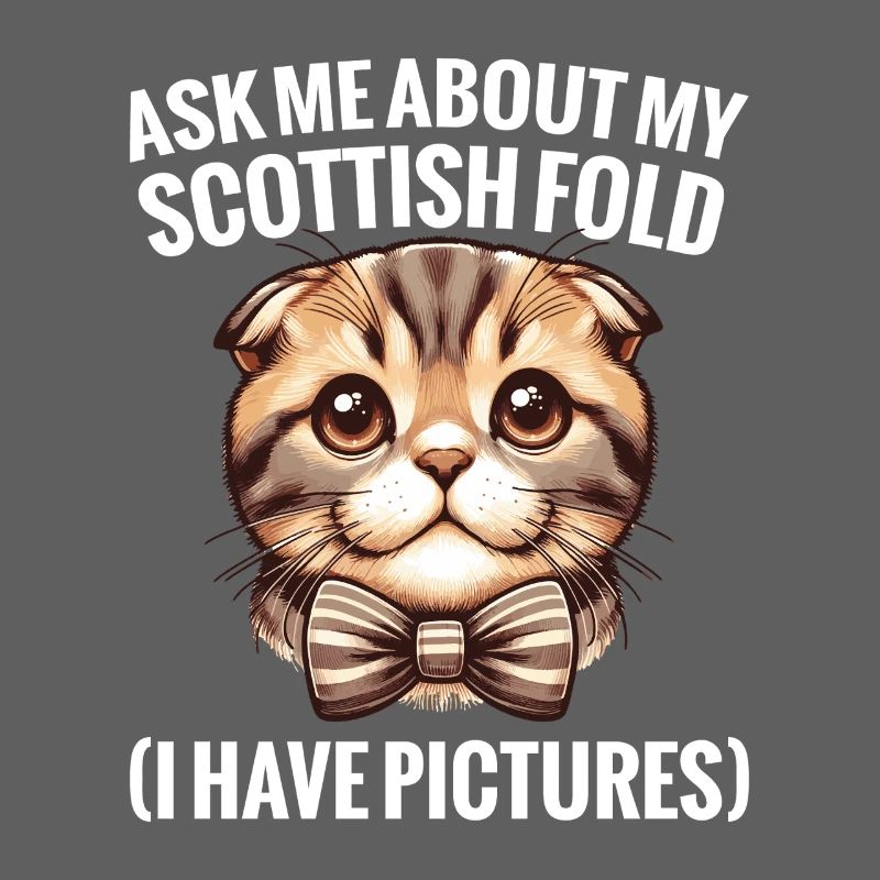 Scottish Fold Besitzer Katzenliebhaber Katzenfutter
