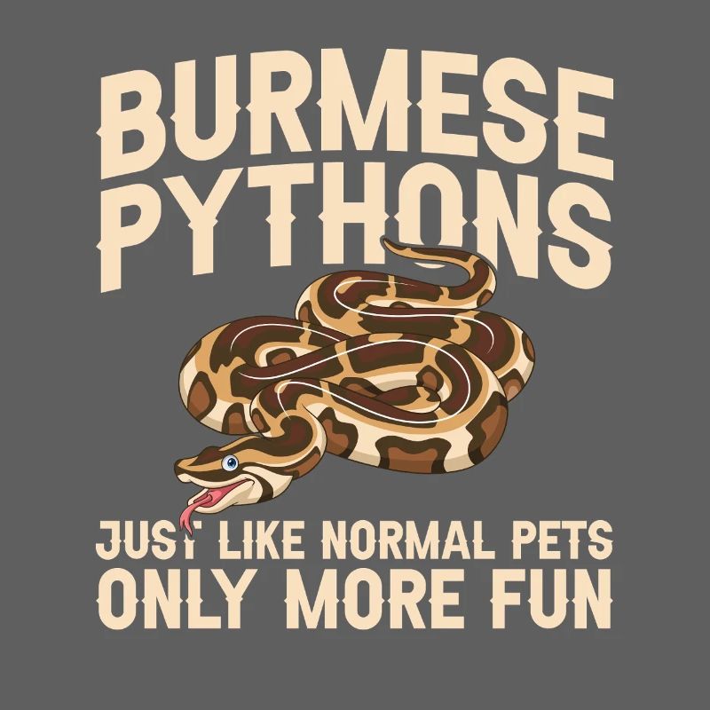Burmesische Python liefert Schlangenliebhaber-Reptilienpfleger