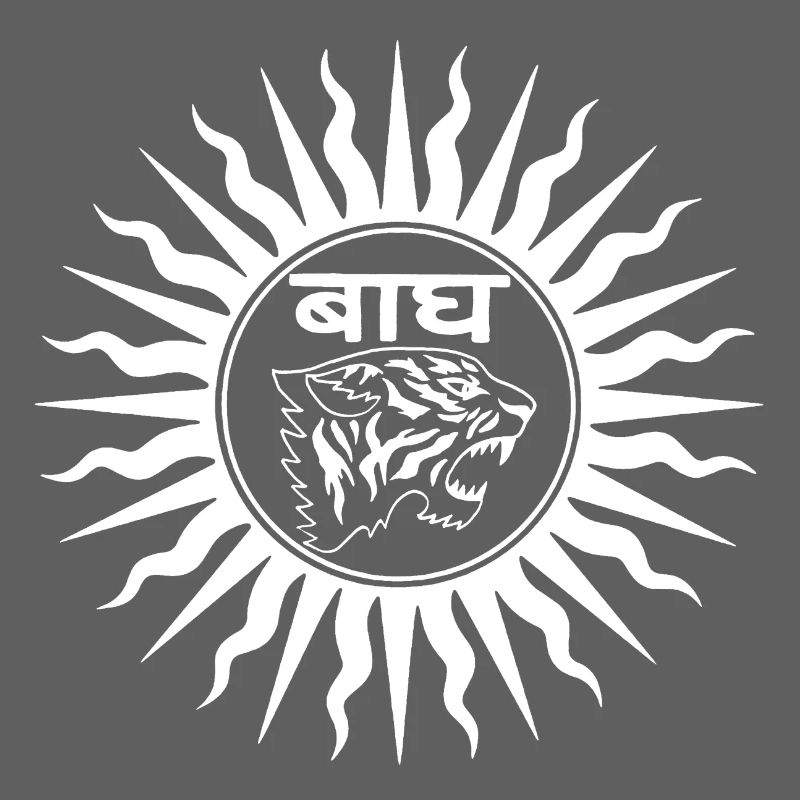 Tigre d'Inde (blanc)