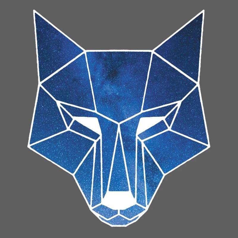 White wolf and starry sky