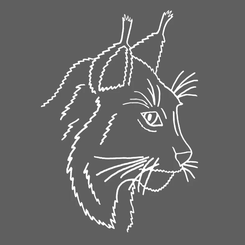 lynx
