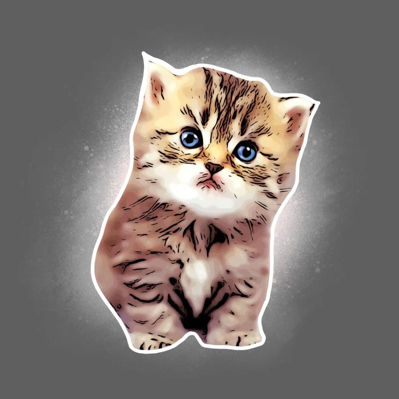 Bébé chat
