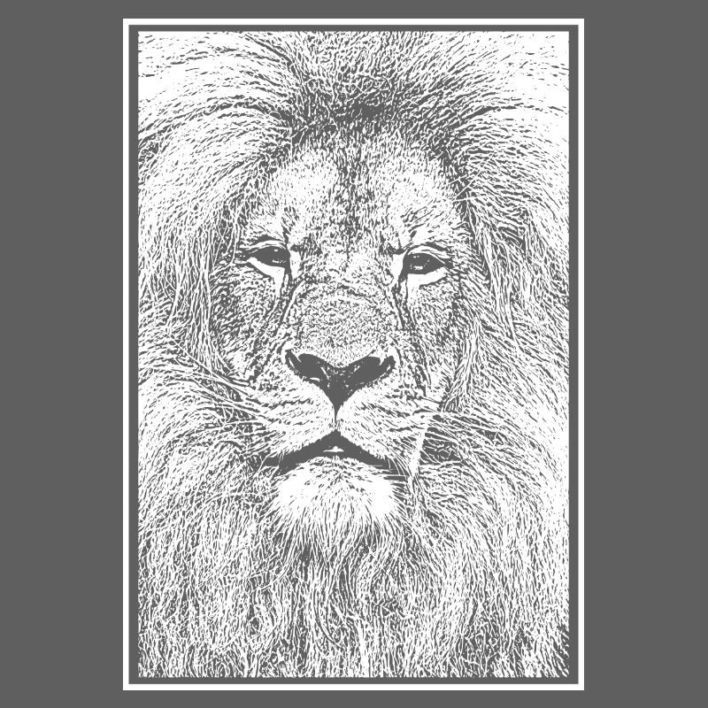 Magnificent lion