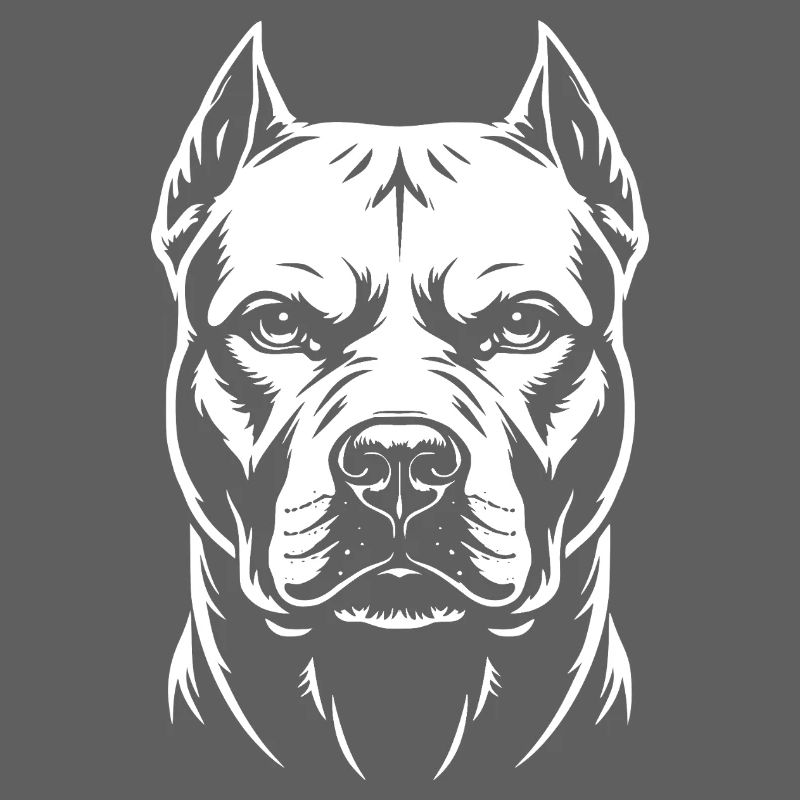 Tête de Pitbull