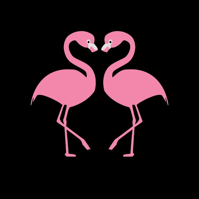 Flamingos