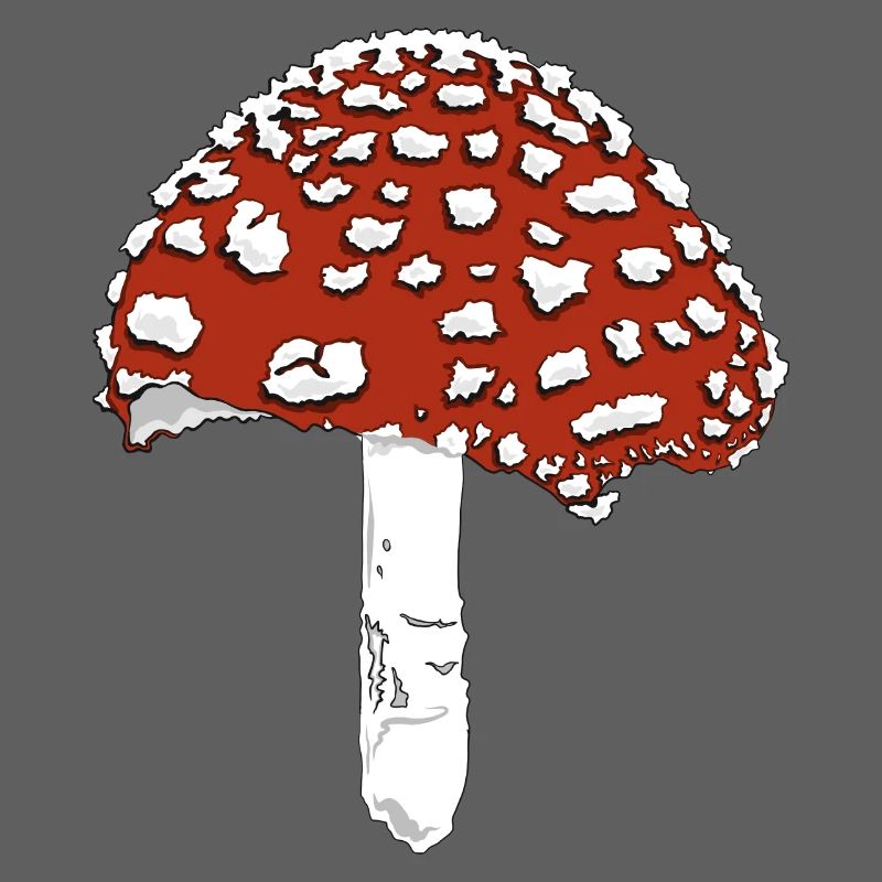 Toadstool toadstool amanita