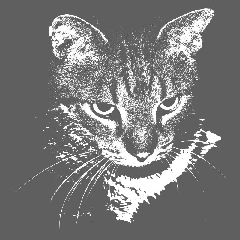 Chat Chat Chat Chat Chemise Cadeau
