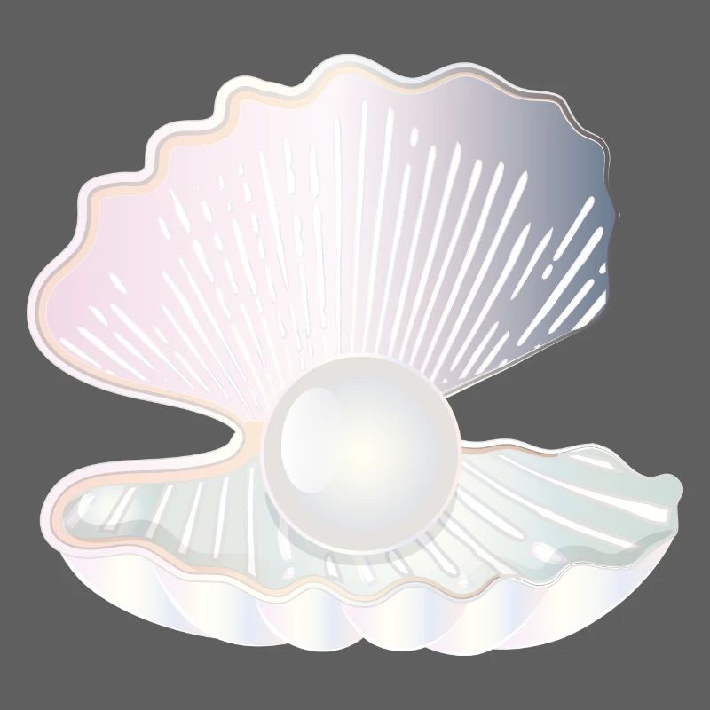 coquille ouverte irisée avec grosse perle