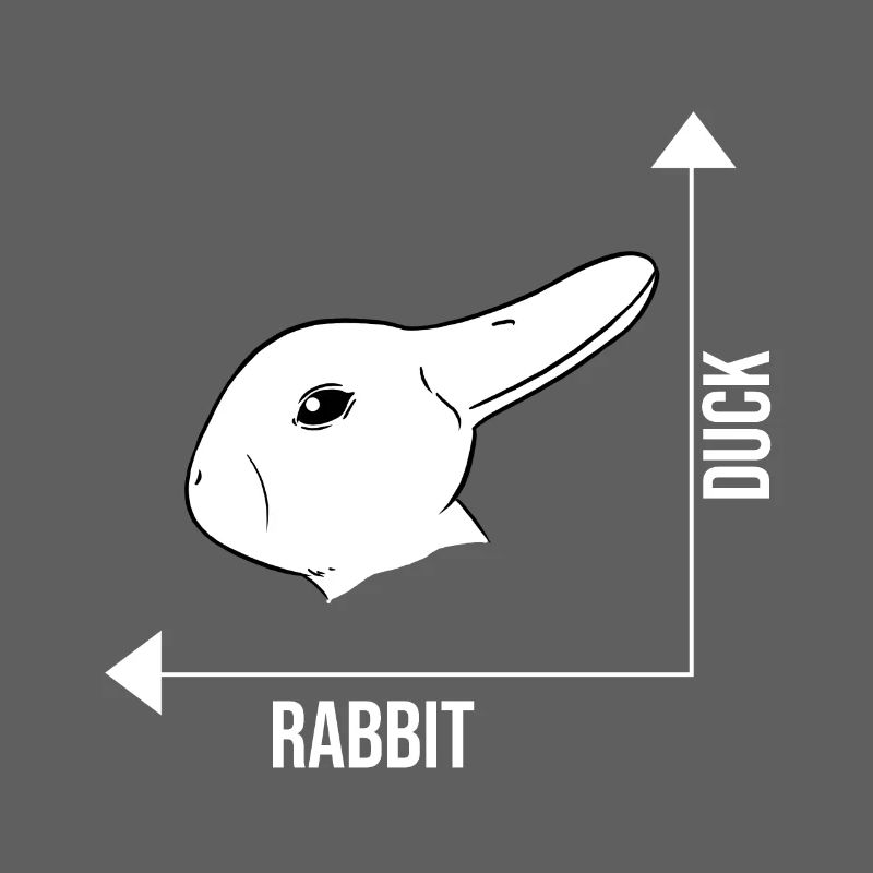 Bunny duck illusion optical illusion