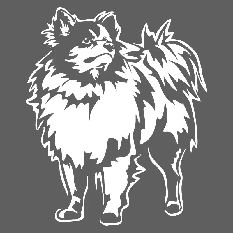 Spitz "Black Edition"