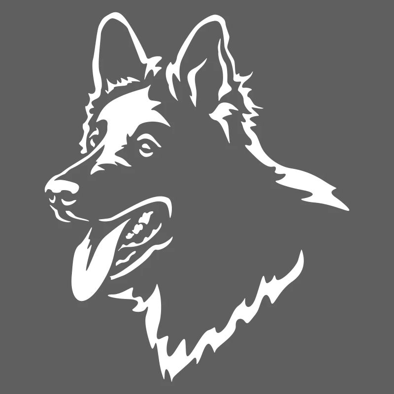 Swiss Shepherd Head