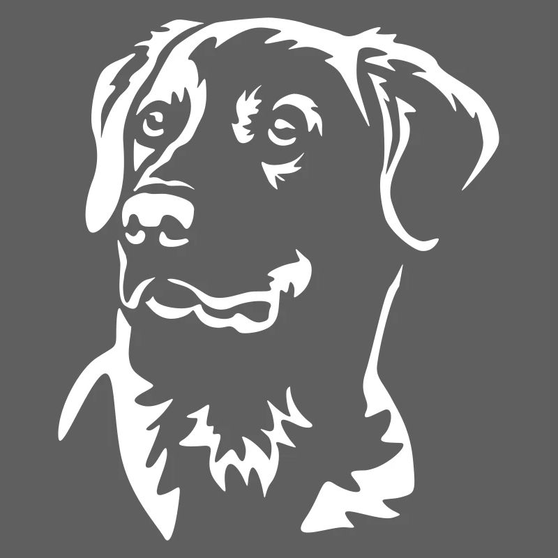 Tête de Labrador « Black Edition »