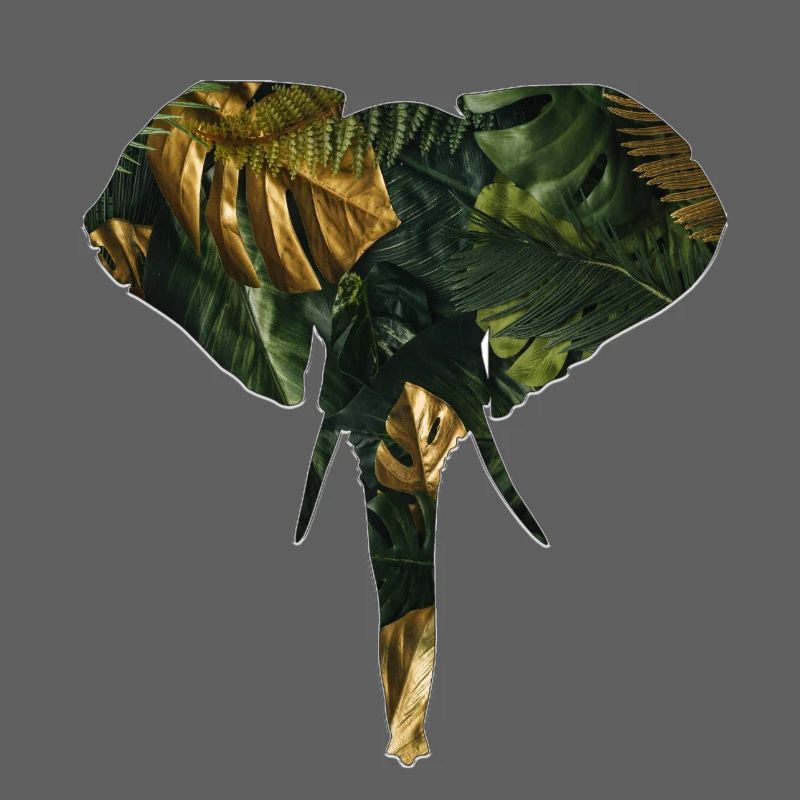 Éléphant dans la jungle
