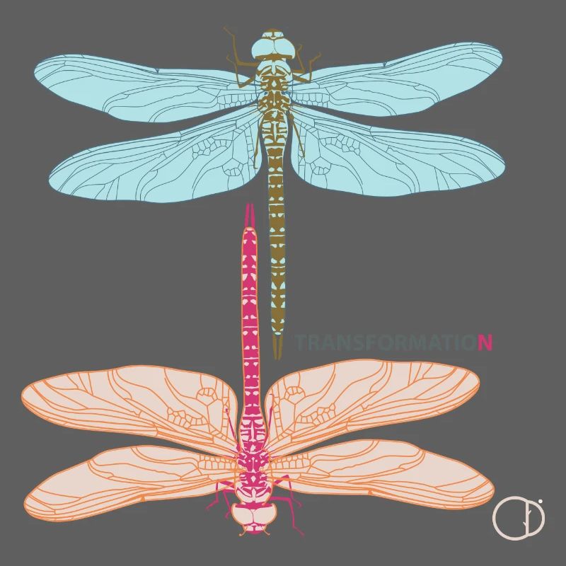 Libellen und Transformation by CD