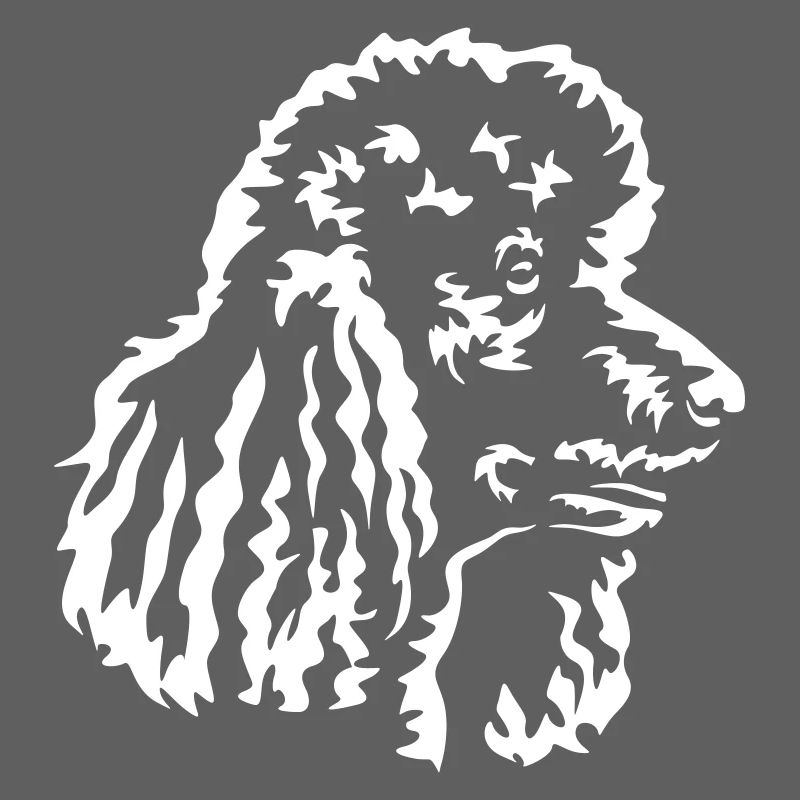 Tête de caniche « Black Edition »