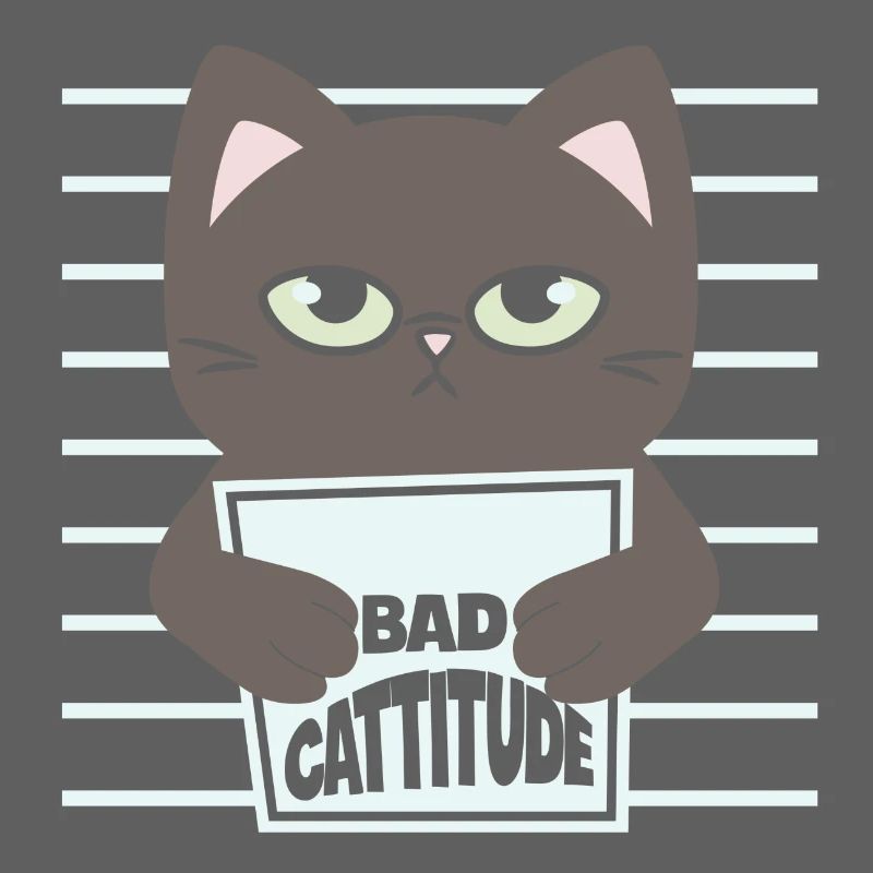 chat, chat mignon, chat doux, cat