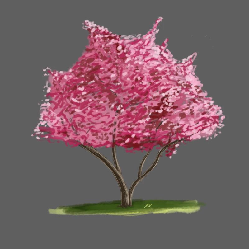 Cherry Sakura Pink Floral Tree