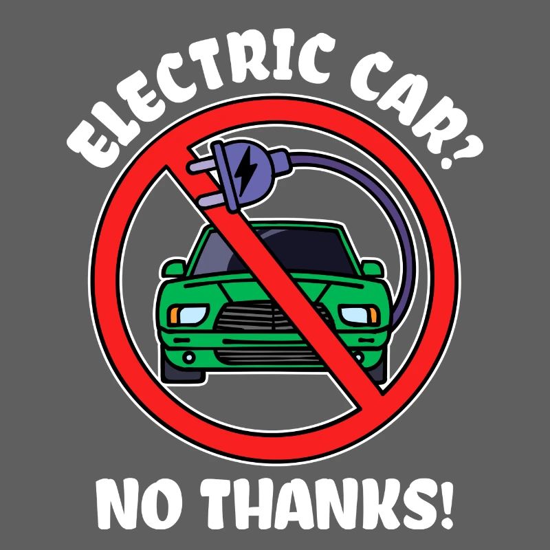 Refueling Electrical Energy E-car Electricity Statement