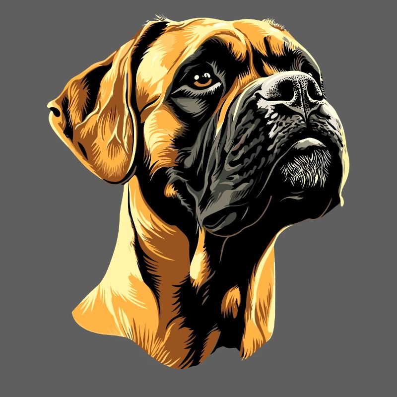 Deutscher Boxer Hunde Boxerverein German Boxer