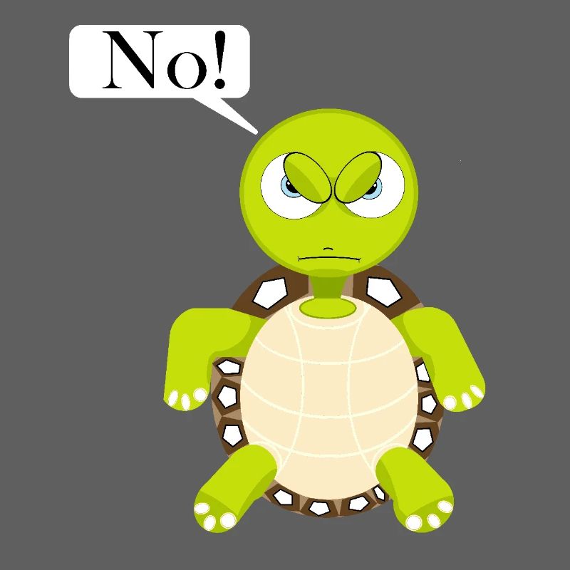 Statement No Turtle, No Fun Comic, No