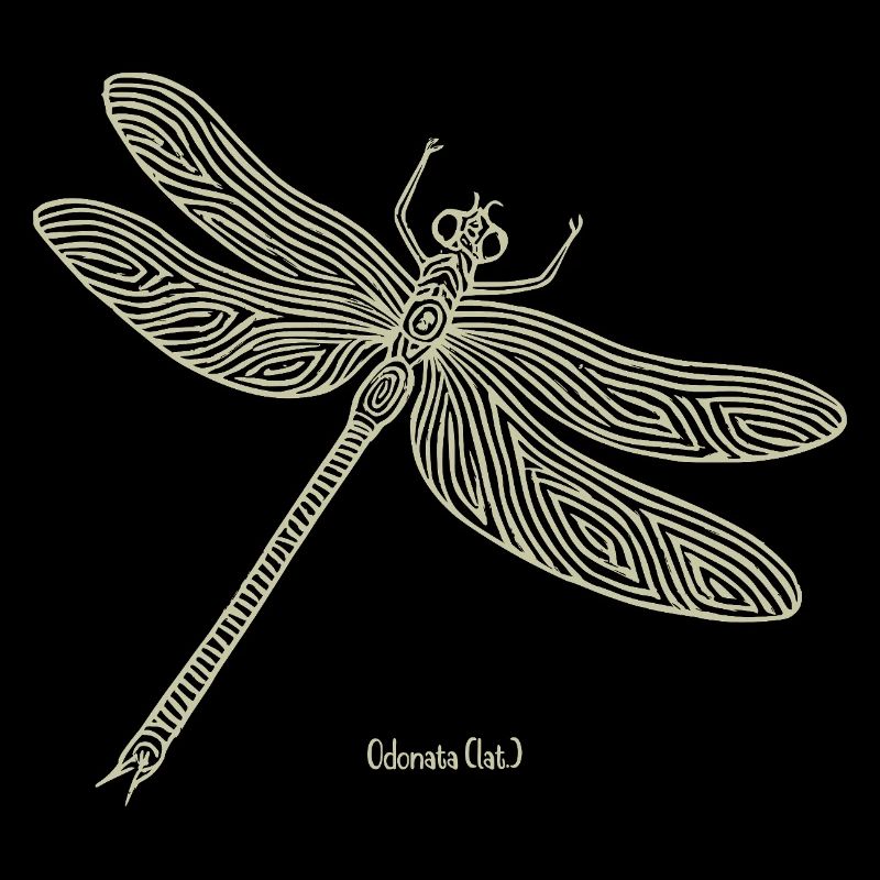 Libellule Odonate