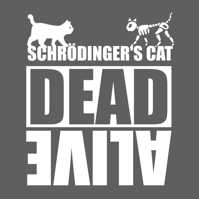 Le chat de Schrödinger