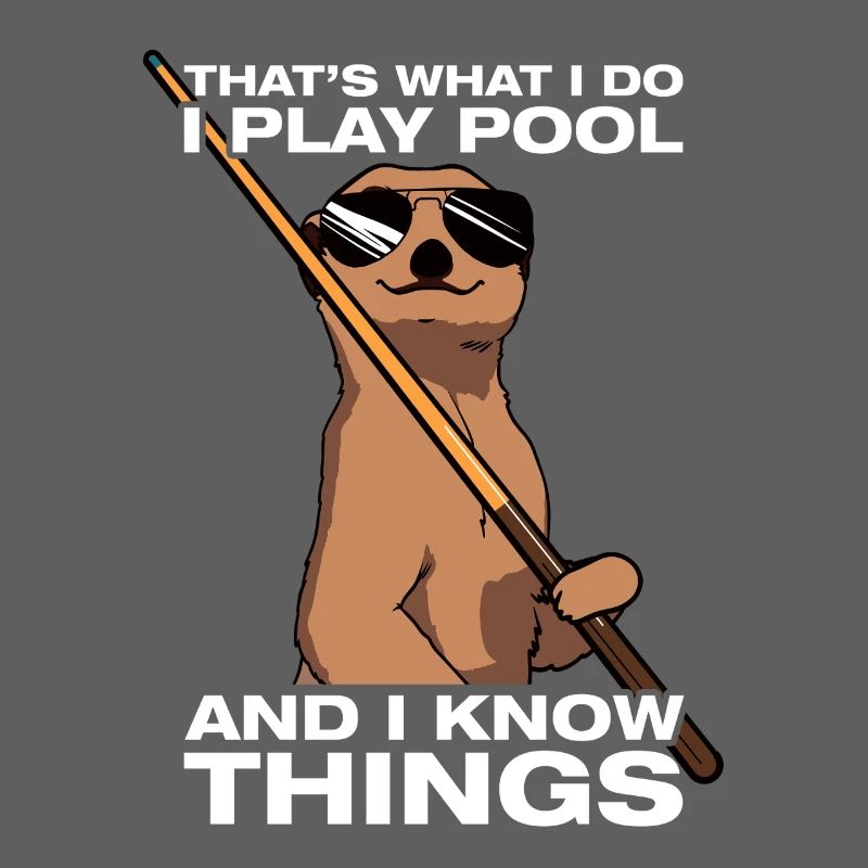 That's what i do funny billiards player