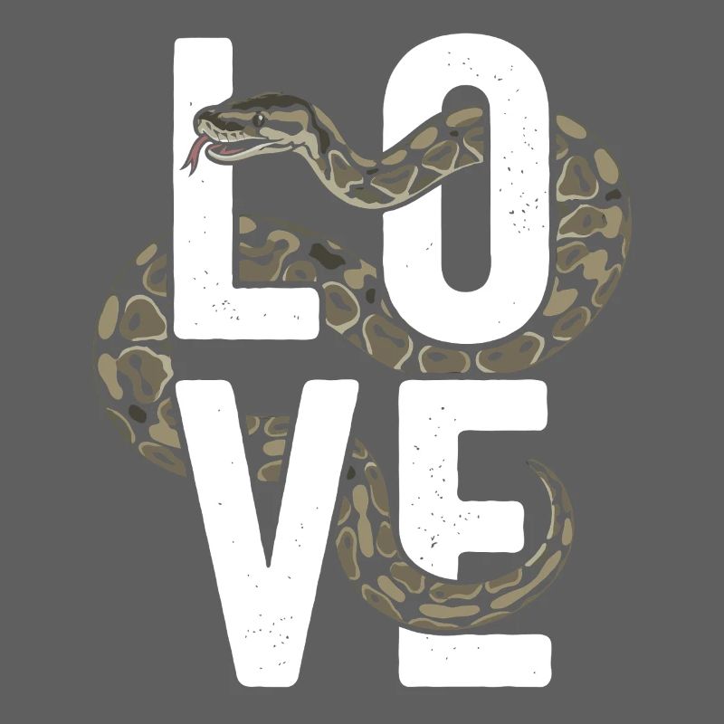 Königspython Schlangen LOVE Terrarium Python