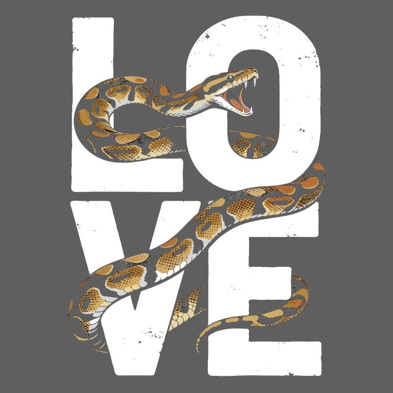 Les serpents rois Python ADORENT les pythons de terrarium