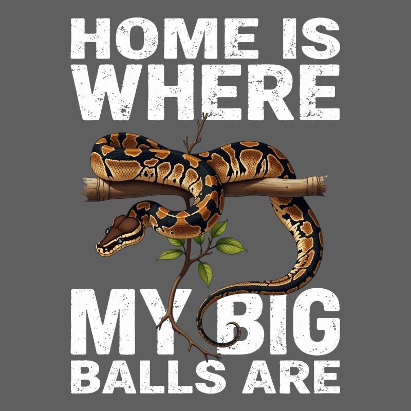 Königspython Schlangen Liebhaber Terrarium Python