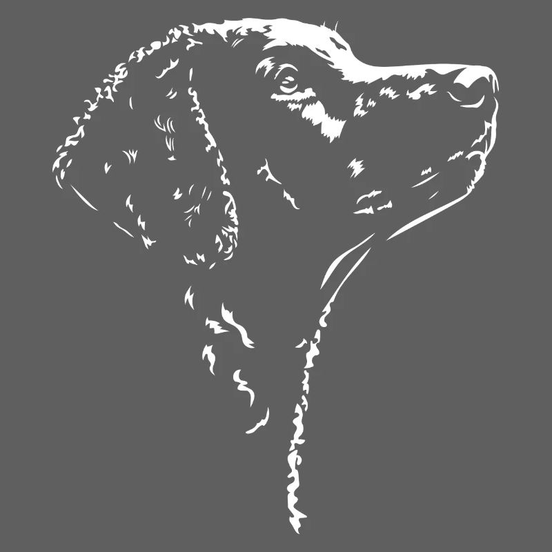 Curly Coated Retriever Silhouette Hunde Wilsigns