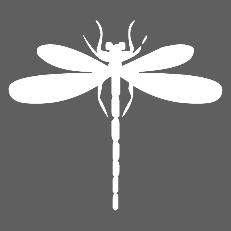 Insecte libellule