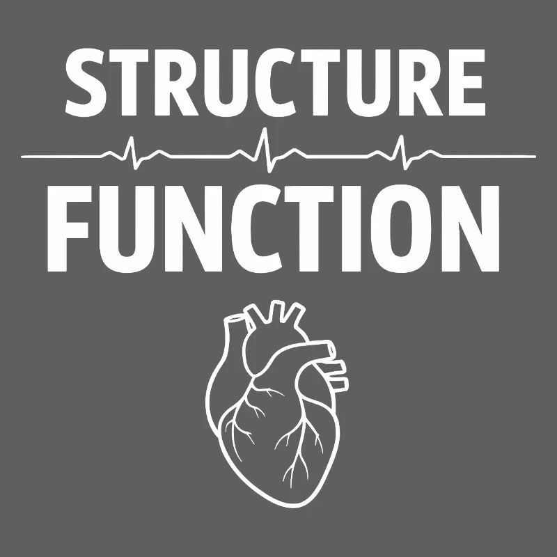 Herzultraschalltechniker Echo-techniker