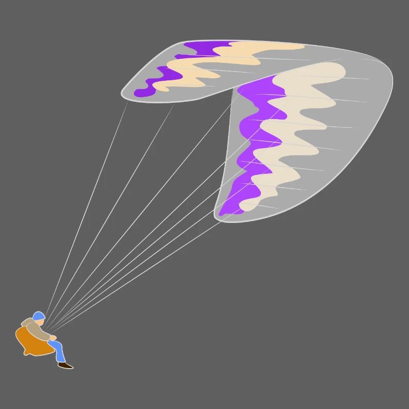 Paraglider