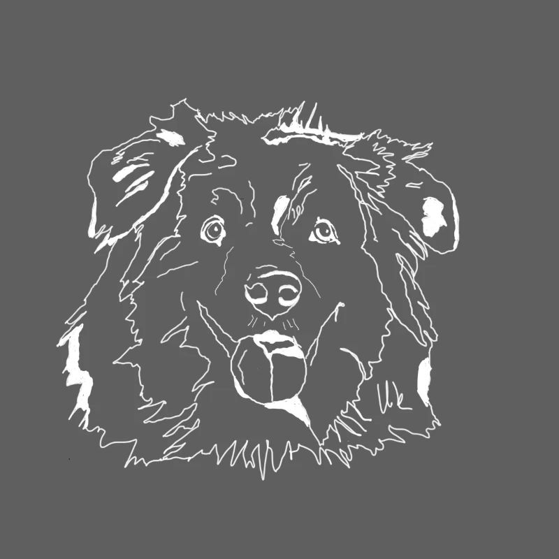 Australian Shepherd