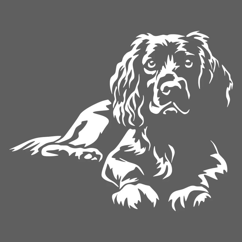 Boykin Spaniel "Black Edition"
