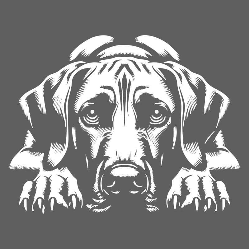 Rhodesian Ridgeback "Black Edition"