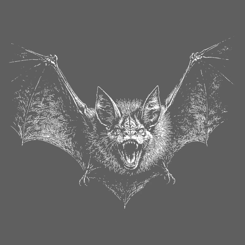 Bat