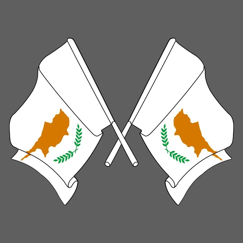 Deux drapeaux Chypre