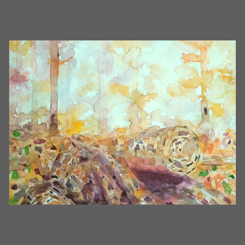 Paysage aquarelle forestier automne