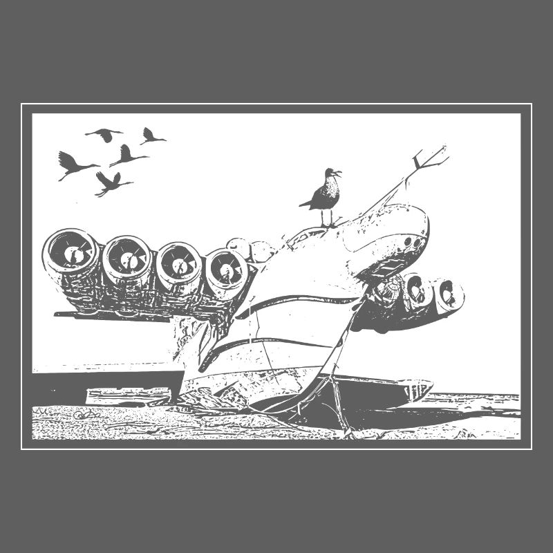 Epave d'avion