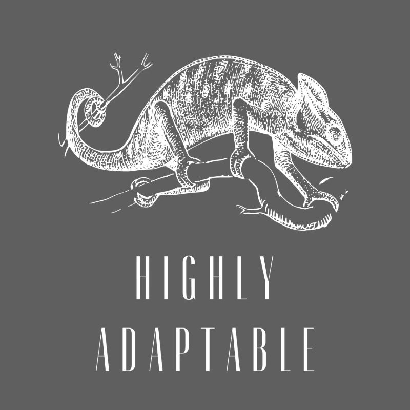 Highly Adaptable Chameleon Growth Mindset