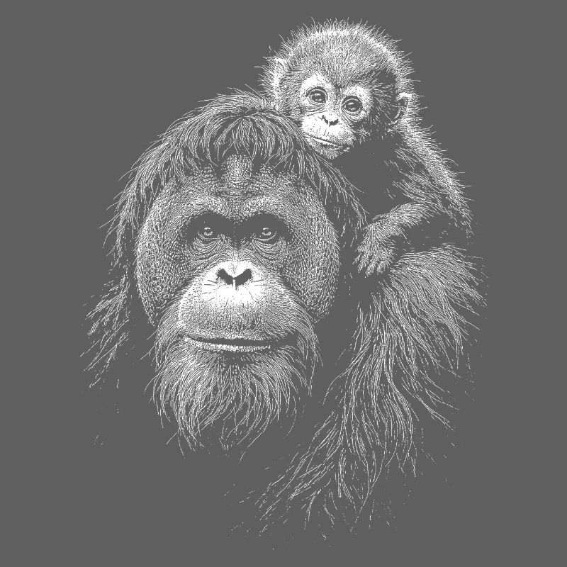Orangutan Mutter mit Jungem Silhouette