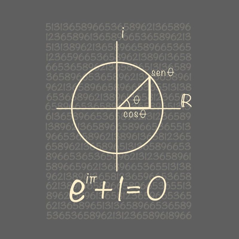 Euler's equation