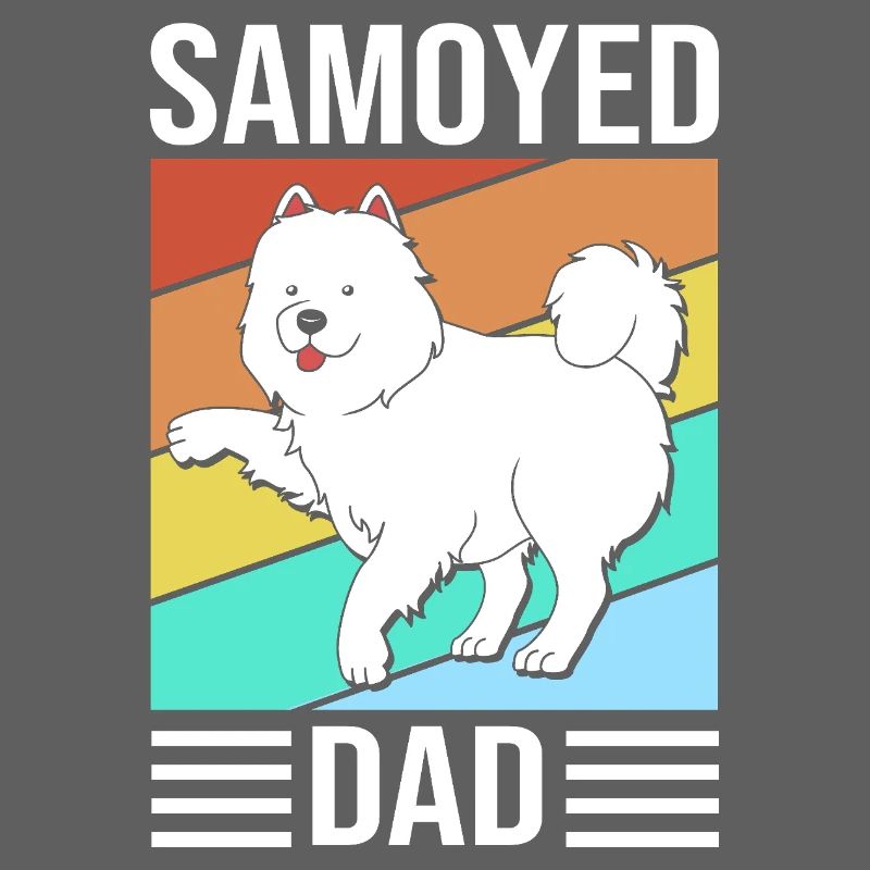 Samoyède