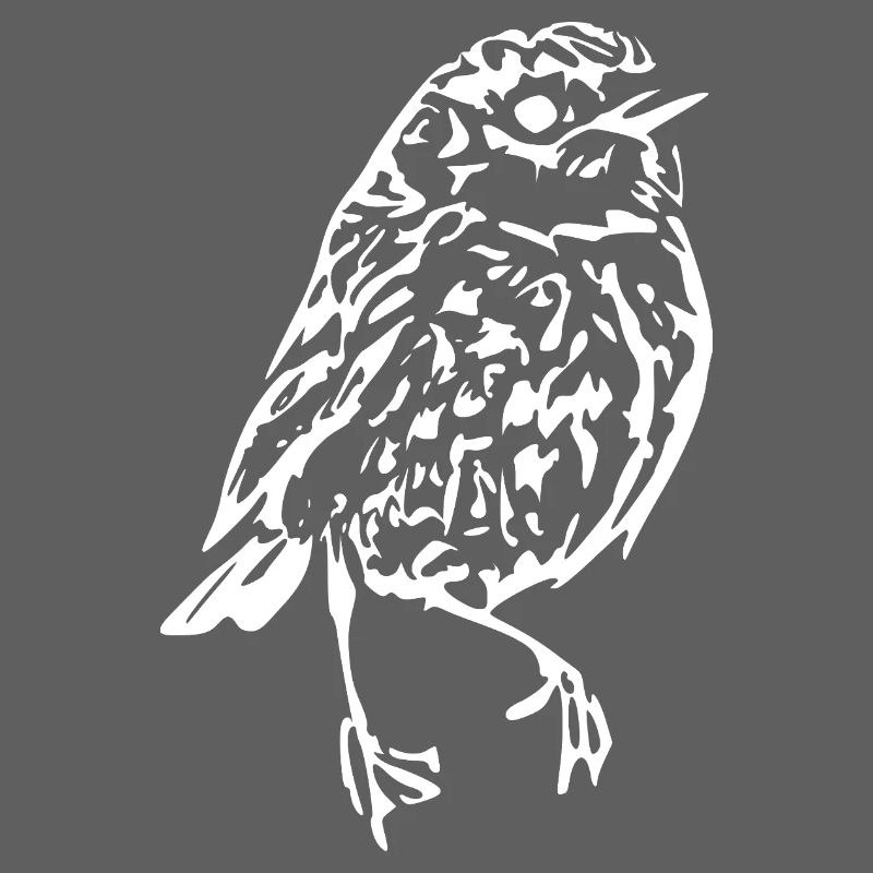 white bird white gift ornithologist