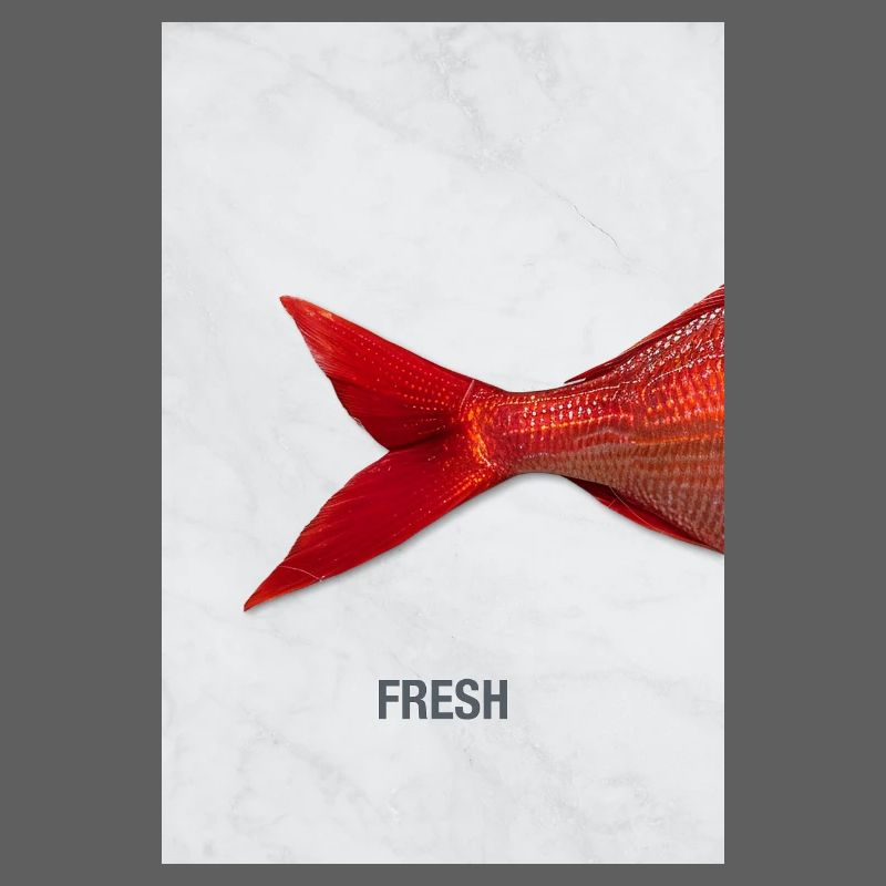Fresh Fish Minimal Design Modern