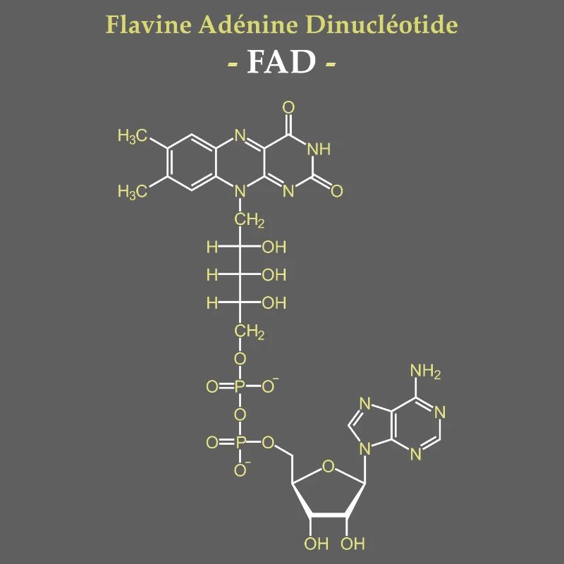 ADF Flavin-Adenin-Cofaktor